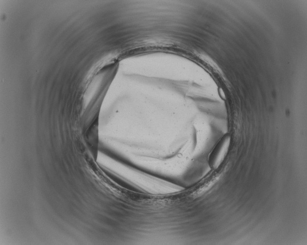 X0000066100930200604071818