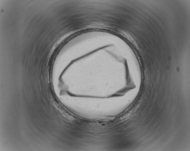 X0000066100931200604071818