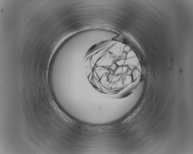 X0000066100932200604071819