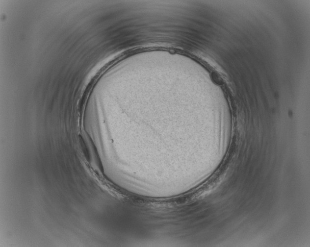 X0000066100933200604071819