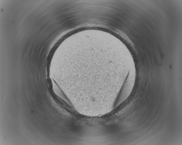 X0000066100934200604071819