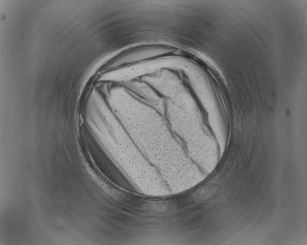 X0000066100935200604071819