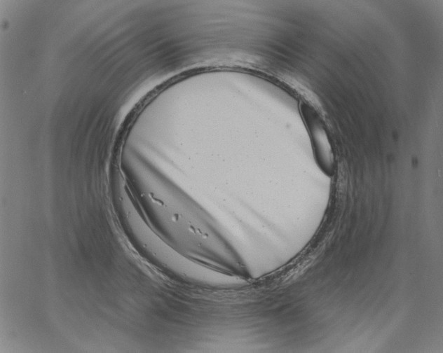 X0000066100936200604071819