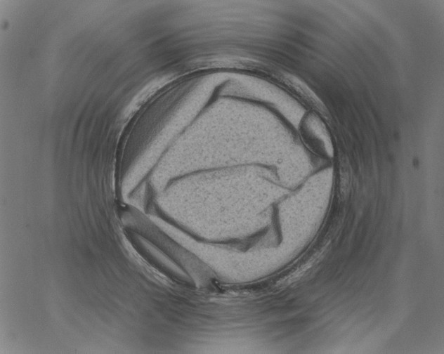 X0000066100938200604071819