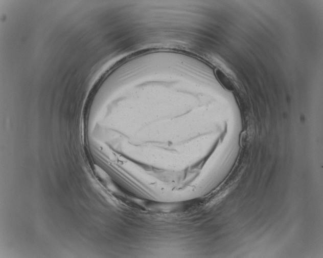 X0000066100940200604071819