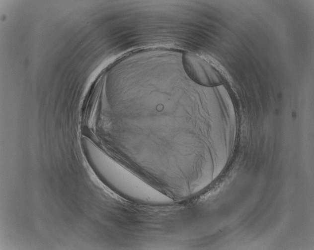 X0000066100941200604071819