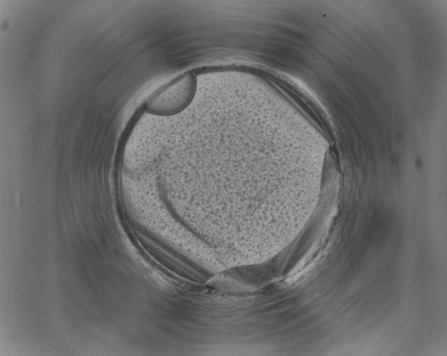 X0000066100943200604071819