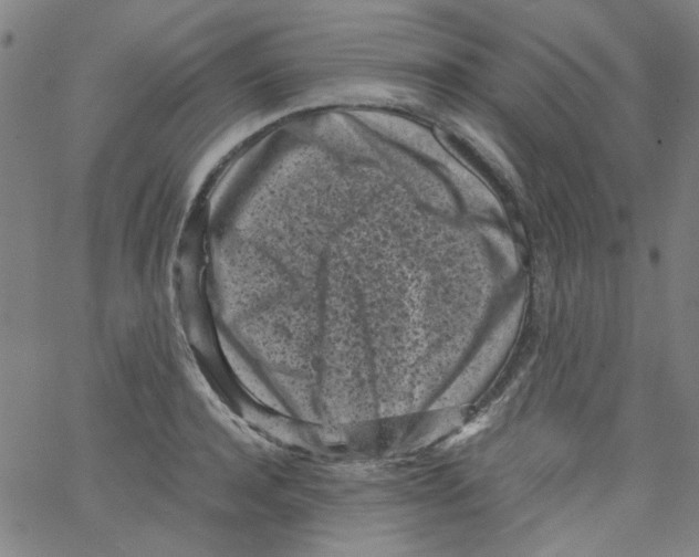 X0000066100944200604071819