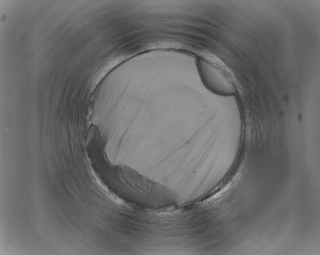 X0000066100945200604071819