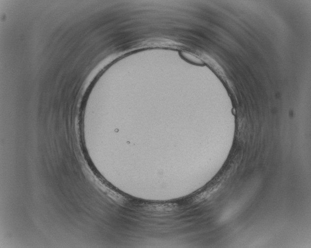 X0000066100947200604071819