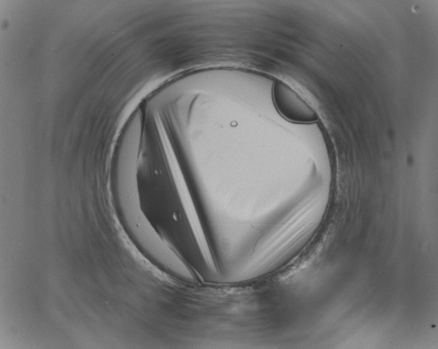 X0000066100949200604071819