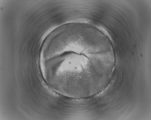 X0000066100952200604071819