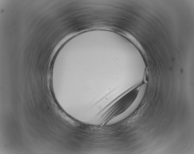 X0000066100955200604071819