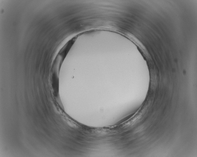 X0000066100956200604071819