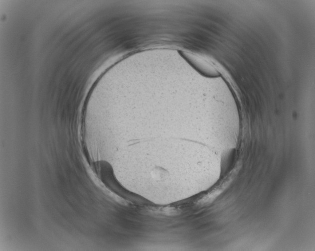 X0000066100957200604071819