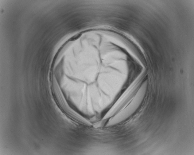 X0000066100959200604071819