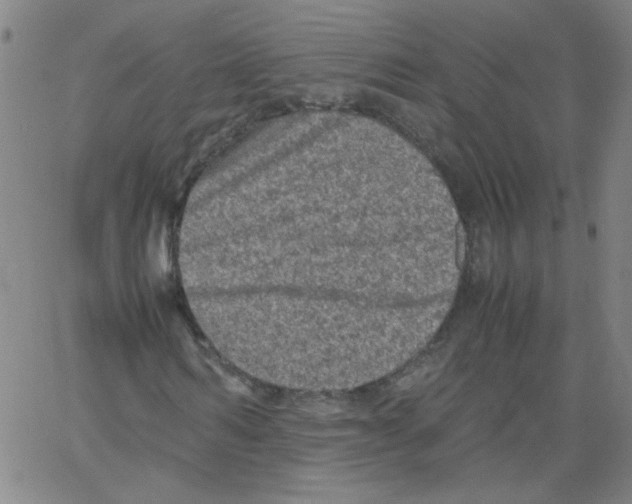 X0000066100962200604071818