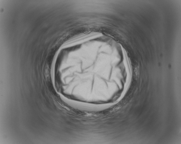 X0000066100963200604071818