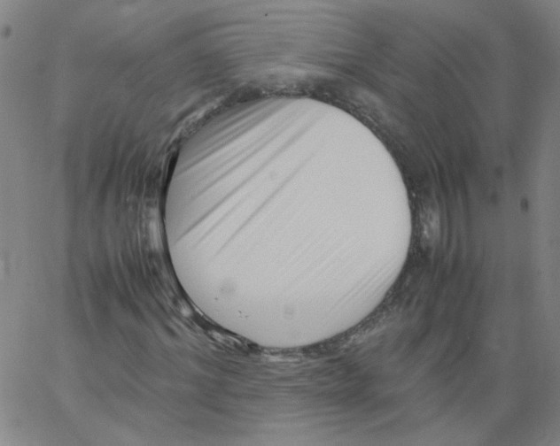 X0000066100964200604071818