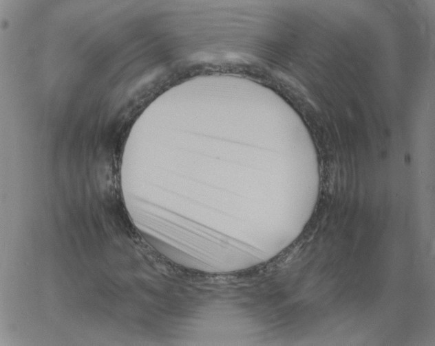 X0000066100966200604071818