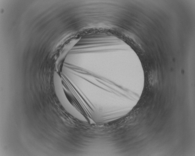 X0000066100968200604071818