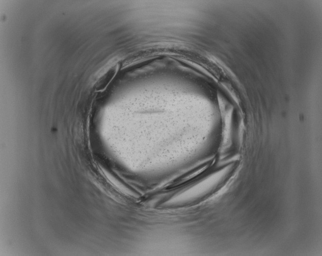 X0000066100969200604071818