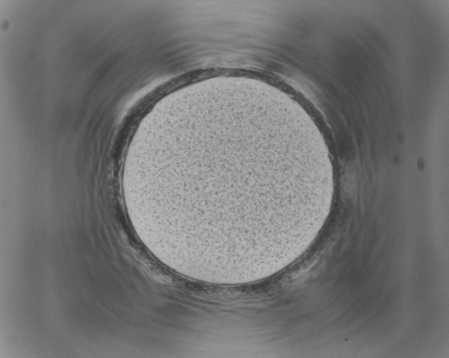 X0000066100971200604071818