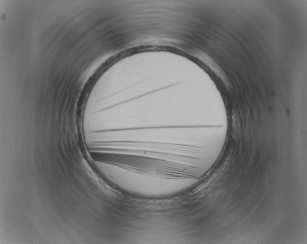 X0000066100972200604071818