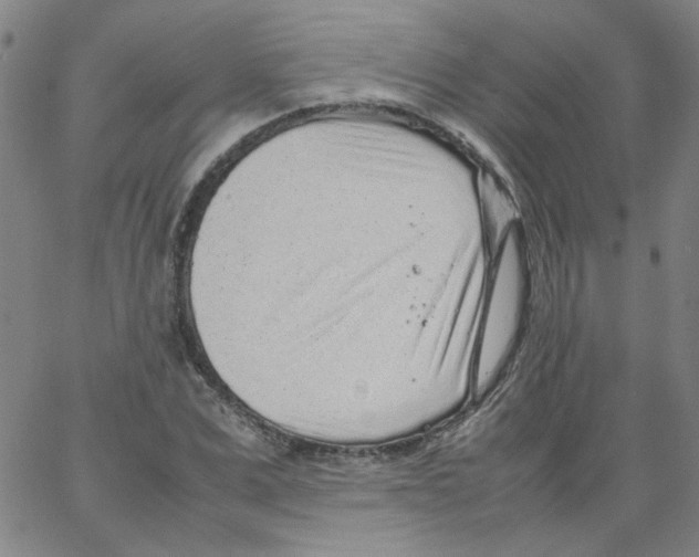 X0000066100975200604071818