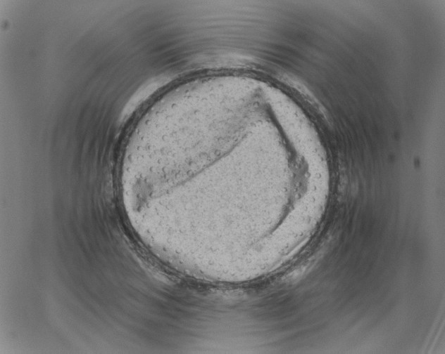 X0000066100978200604071818