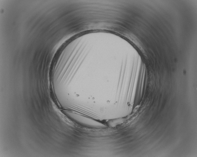 X0000066100980200604071818