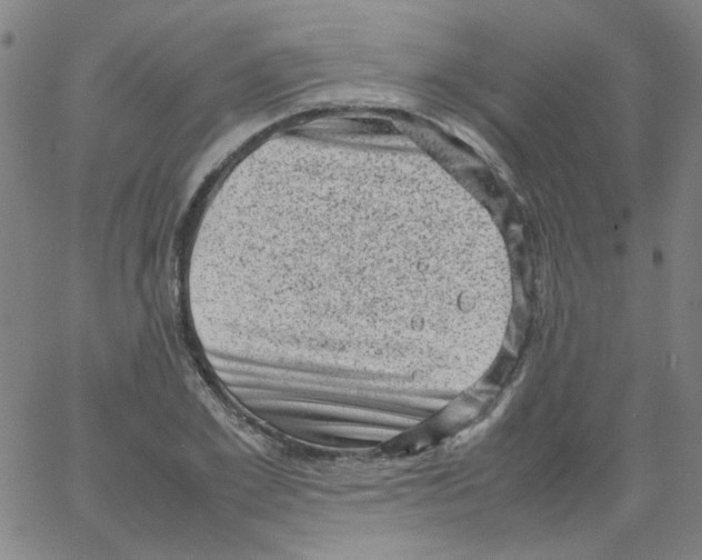 X0000066100981200604071818