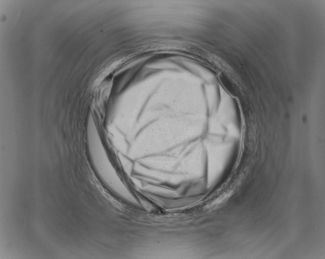 X0000066100985200604071818