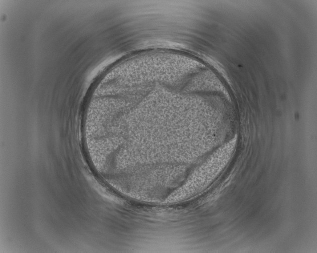 X0000066100987200604071818