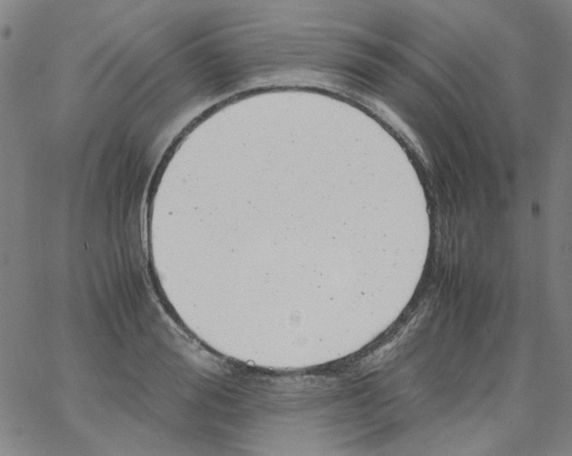 X0000066100988200604071818