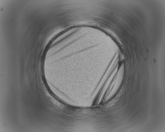 X0000066100991200604071818