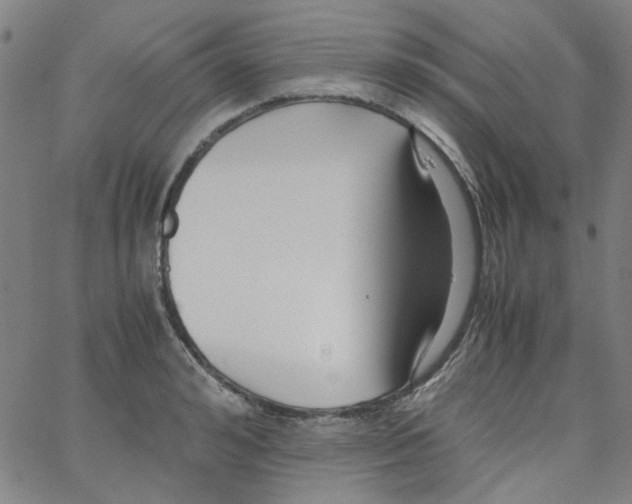 X0000066100992200604071818