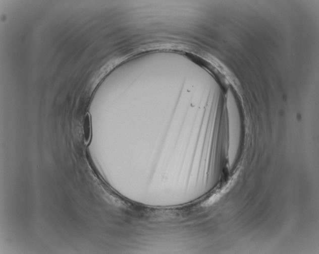 X0000066100993200604071818