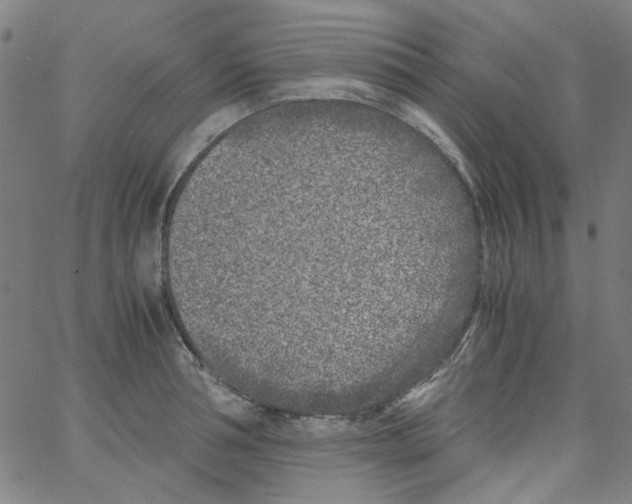 X0000066100994200604071818