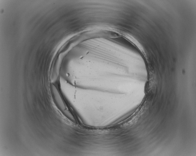 X0000066100996200604071818