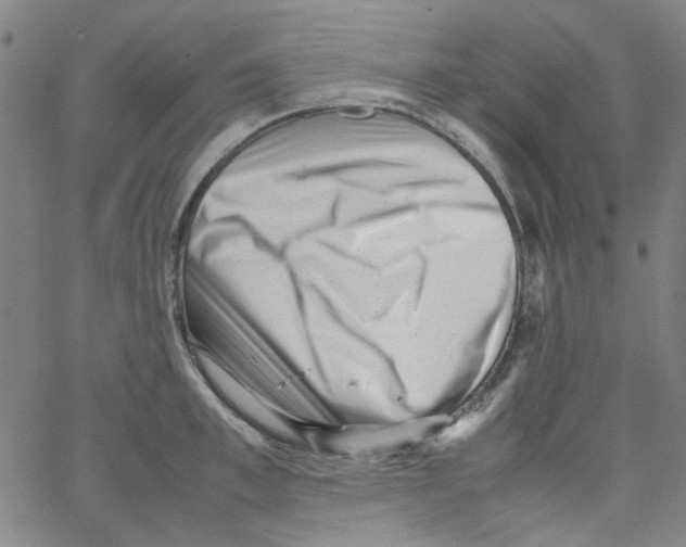 X0000066100997200604071818