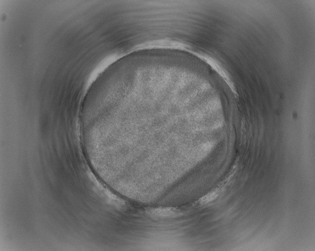 X0000066100998200604071818