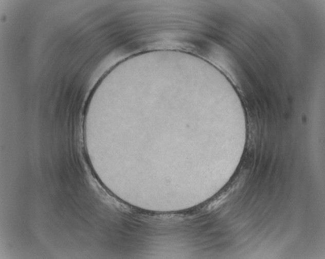 X0000066101000200604071818