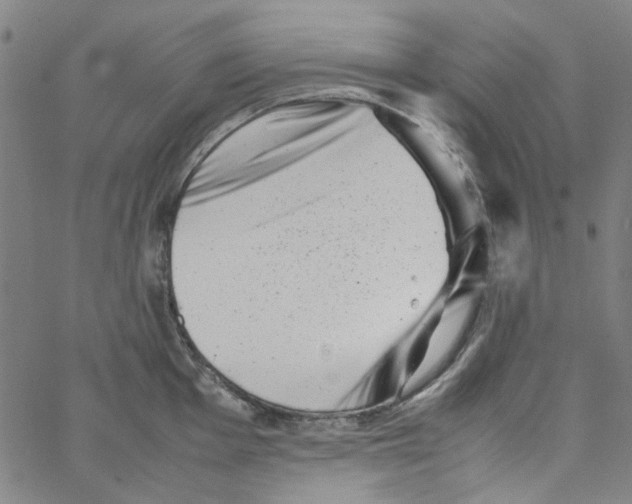 X0000066101001200604071818