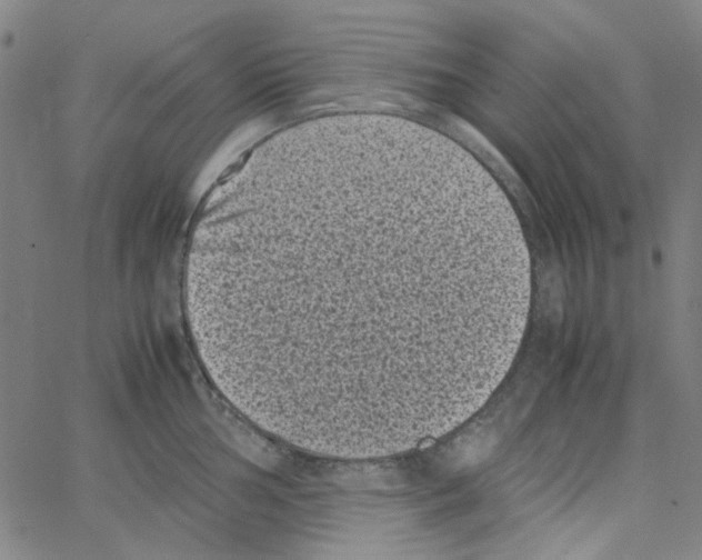 X0000066101002200604071818