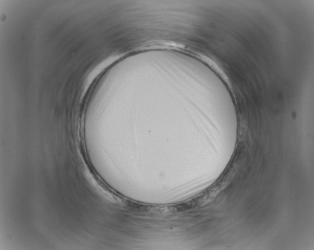 X0000066101003200604071818