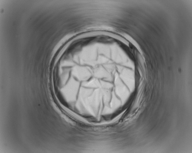 X0000066101005200604071817