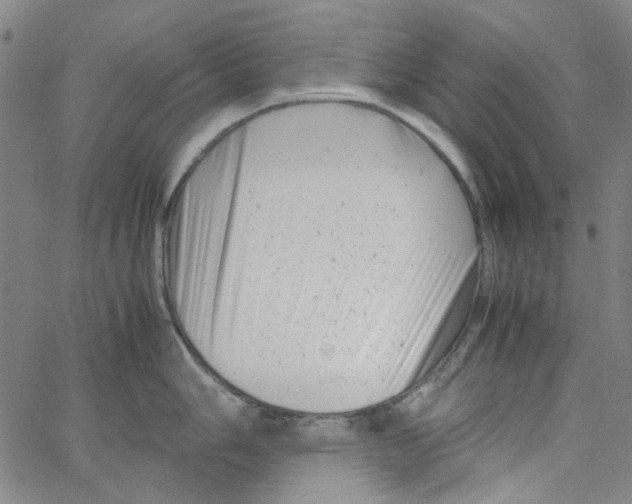 X0000066101006200604071817