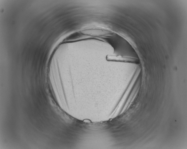 X0000066101008200604071817