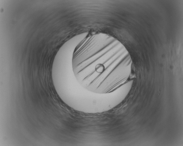 X0000066101010200604071817